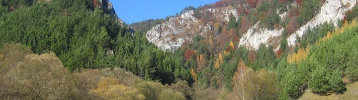 Tłumaczenia słowacki